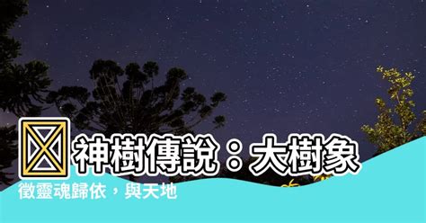 大樹象徵|神聖大樹與人類的靈魂對話